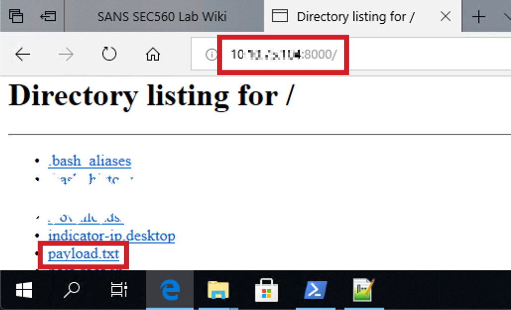 Windowsからシェルコードにアクセスする