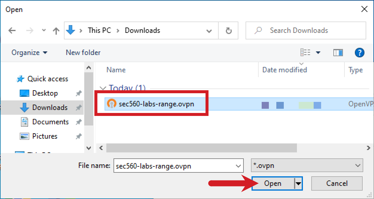 Import OpenVPN Configuration File)